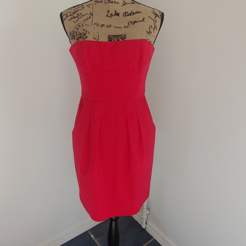 BCBG Dress